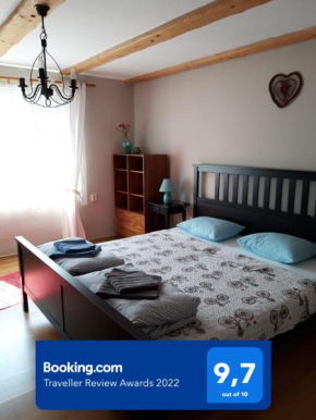 Apartment Magdalena with garden and free bicycles